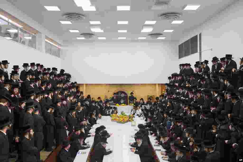 Ultra-Orthodox Jews of the Nadvorna Hasidic dynasty celebrate the Jewish feast of &#39;Tu Bishvat&#39; or &quot;New Year of the Trees&quot; in the town of Bnei Brak, Israel.