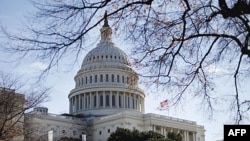 Gedung DPR Amerika, Capitol Hill di Washington DC (Foto: dok).