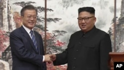 문재인 한국 대통령 김정은 북한 국뮈위원장이 지난해 9월 평양 백화원 영빈관에서 열린 공동선언문 서명식에서 악수하고 있다.
