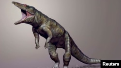 Carnufex carolensis, a newly-discovered crocodilian ancestor that walked on its hind legs, is pictured in this handout life reconstruction obtained by Reuters, March 19, 2015.