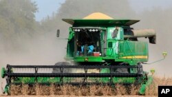 资料照 美国内布拉斯加州的农民收割大豆