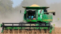 资料照-美国内布拉斯加州的农民收割大豆