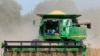高關稅擋不住中國購買美國大豆需求