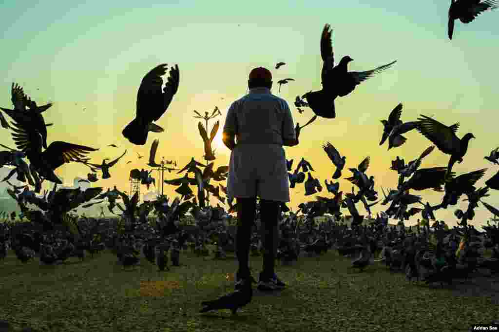 A man feeds pigeons at sunrise in Mumbai, India.