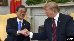 도널드 트럼프 미국 대통령과 문재인 한국 대통령이 지난달 11일 백악관에서 열린 정상회담에서 악수하고 있다.