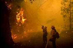 Firefighters battle a wildfire called the Kincade Fire on Chalk Hill Road in Healdsburg, Calif., Sunday, Oct. 27, 2019.