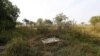 Jutaan Warga Hindari Toilet yang Baru Dibangun di India