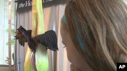 Visitors to the Museum of Natural Science in Houston revel in the sight and smell of the "corpse flower" (Amorphophallus Titanum)