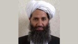Talibanın lideri Molla Habiatullah Axundzadə