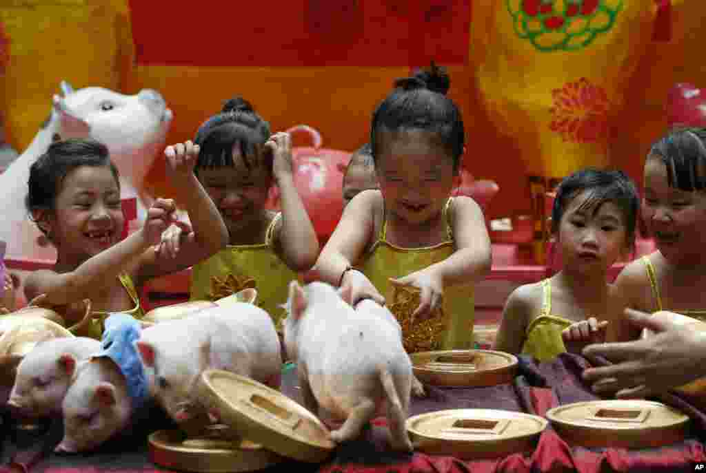 Girls play with live Teacup pigs, a rare pet in the country, at the start of celebrations leading to the Lunar New Year at Manila's Lucky Chinatown Plaza in Manila, Philippines, Feb. 1, 2019.