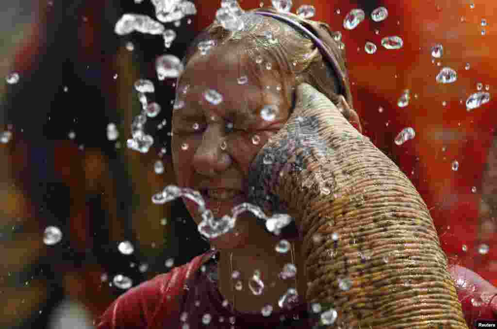 A tourist reacts as an elephant sprays her with water in celebration of the Songkran water festival in Thailand&#39;s Ayutthaya province.