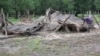 A young boy shows a hut that was destroyed by floods in Tsholostho, about 200 kilometers north of Bulawayo, March 4, 2017.