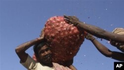 An Indian worker carries a sack of onions at a wholesale market in Hyderabad, India, Jan 22, 2011