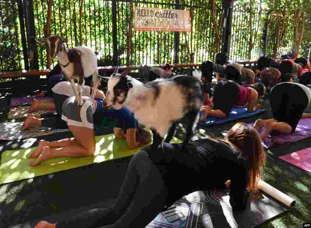 Yoga mashg&#39;ulatlari. Kaliforniya shtati, AQSh