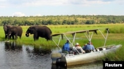 Des touristes observent des éléphants près de la rivière Chobe, dans le nord du Zimbabwe, aout 2012. Source : Reuters