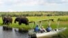 FILE - Foreign tourists in safari riverboats observe elephants along the Chobe river bank near Botswana's northern border where Zimbabwe, Zambia and Namibia.