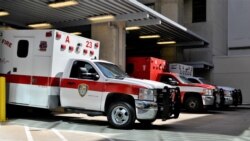 Quiz - Childhood Trauma May Lead to Adulthood Illness