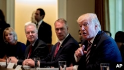FILE - President Donald Trump speaks during a Cabinet Meeting, June 12, 2017.