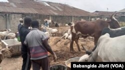 Tsada Da Rashin Cinikin Ragunar Sallah a Legas