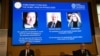 Tiga Ilmuwan Berbagi Hadiah Nobel Fisika untuk Riset Terkait Lubang Hitam