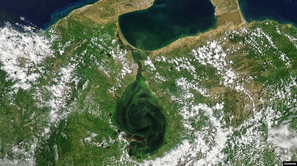 Imagen satelital del Lago de Maracaibo, en septiembre 2021. [Foto: cortesía de la NASA].
