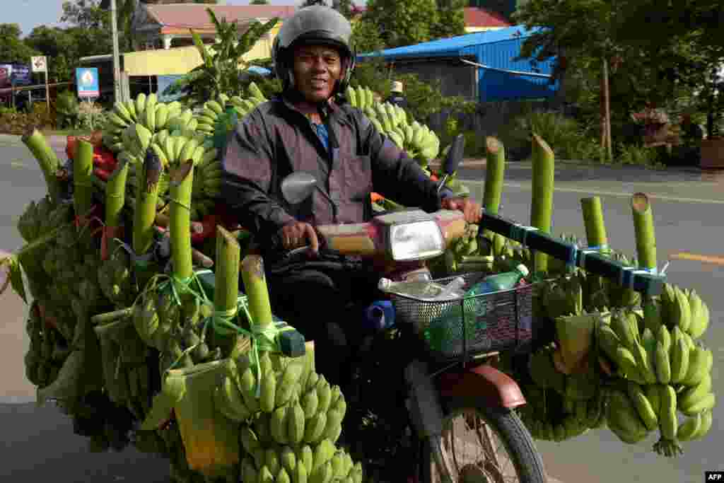 Seorang pria dengan sepeda motornya mengangkut bertandan-tandan pisang untuk dijual di Phnom Penh, Kamboja.