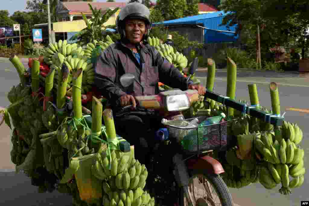 បុរស​ជនជាតិ​កម្ពុជា​ម្នាក់​ជិះ​ម៉ូតូ​មួយ​ដែល​ពោរពេញ​ដោយ​ផ្លែចេក​តាម​ផ្លូវ​មួយ​នៅ​ជាយ​ក្រុង​ភ្នំពេញ​កាលពី​ថ្ងៃទី​៣០​ តុលា ២០១៧។