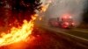 'ทรัมป์' ตรวจความเสียหายไฟป่าแคลิฟอร์เนีย - เสียชีวิตแล้ว 36 ราย!