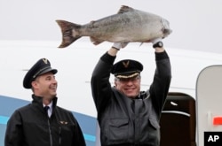 Captain Michael Adams holds up a large Copper River king salmon as he stands with first officer Bob Hood in the doorway an Alaska Airlines 737 airplane, May 18, 2018, at Seattle-Tacoma International Airport in Seattle. The plane was carrying thousands of pounds of the first shipment of Copper River salmon. The annual arrival of the fish is a rite of spring in Seattle, where the fish are prized for their flavor and bring the highest prices at restaurants and fish markets.