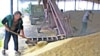  Россия не будет вводить запрет на экспорт зерна