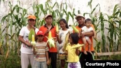 Anggota Gafatar Kalimantan Timur menunjukkan hasil panen jagung mereka untuk program Gerakan Rumah Pangan Mandiri (RPM). (Foto: dok.)