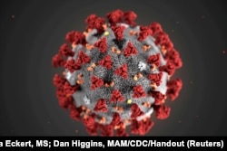 Coronavirus