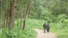 Sept morts dans des affrontements entre l'armée et des rebelles ougandais en RDC