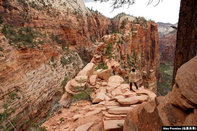 A hiker on the Angels Landing trail