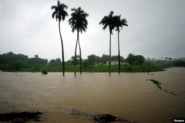 Una granja parcialmente inundada en Bahía Honda, Cuba, cuando la tormenta subtropical Alberto pasaba por la costa oeste de la Isla. 26 de mayo de 2018. REUTERS / Alexandre Meneghini.