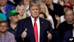 FILE - President Donald Trump gestures during a rally in Tampa, Fla., July 31, 2018.