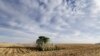 美中貿易摩擦衝擊農業美議員盼尋求途徑保護農民 