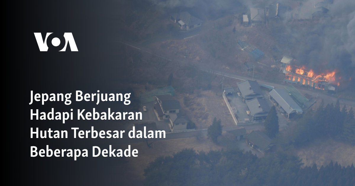 Jepang Berjuang Hadapi Kebakaran Hutan Terbesar dalam Beberapa Dekade