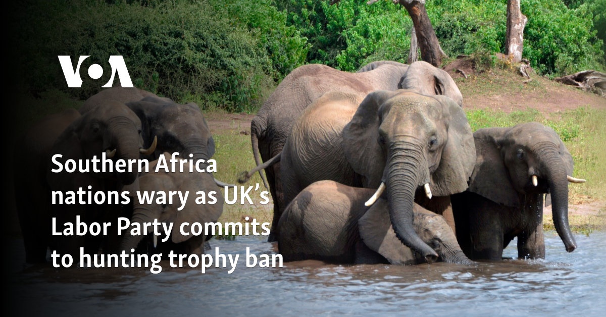 Southern African nations wary as UK’s Labor Party commits to hunting trophy ban