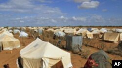 Kenya: Qaxooti Dalka Somalia ku Noqonaya