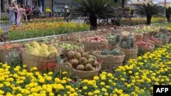 Chợ hoa Nguyễn Huệ