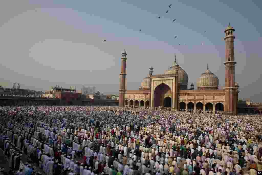 인도 뉴델리의 이슬람 교도들이 &#39;에이드 알-아드하&#39; 이슬람 축제를 맞아 기도를 하고 있다. 