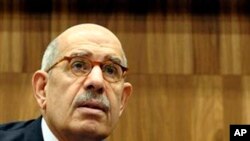 Mohamed ElBaradei may be better placed to challenge for Egypt's presidency in new elections.