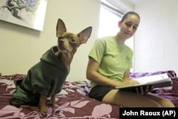 Emily Rosenfeld, a first-year student at Stetson University in DeLand, Florida, spends time with her Chihuahua, Archie, in her dorm room.