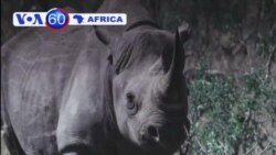 VOA60 Africa