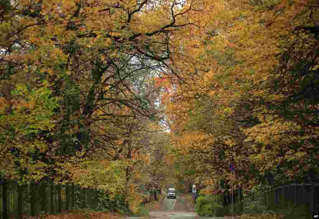 A car drives along a forest road on a rainy autumn day in Moscow, Russia.