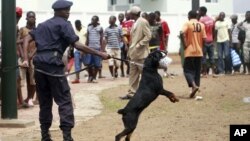 Un membre des forces speciales en Guinée-Équatoriale à Bata le 21 janvier 2012.