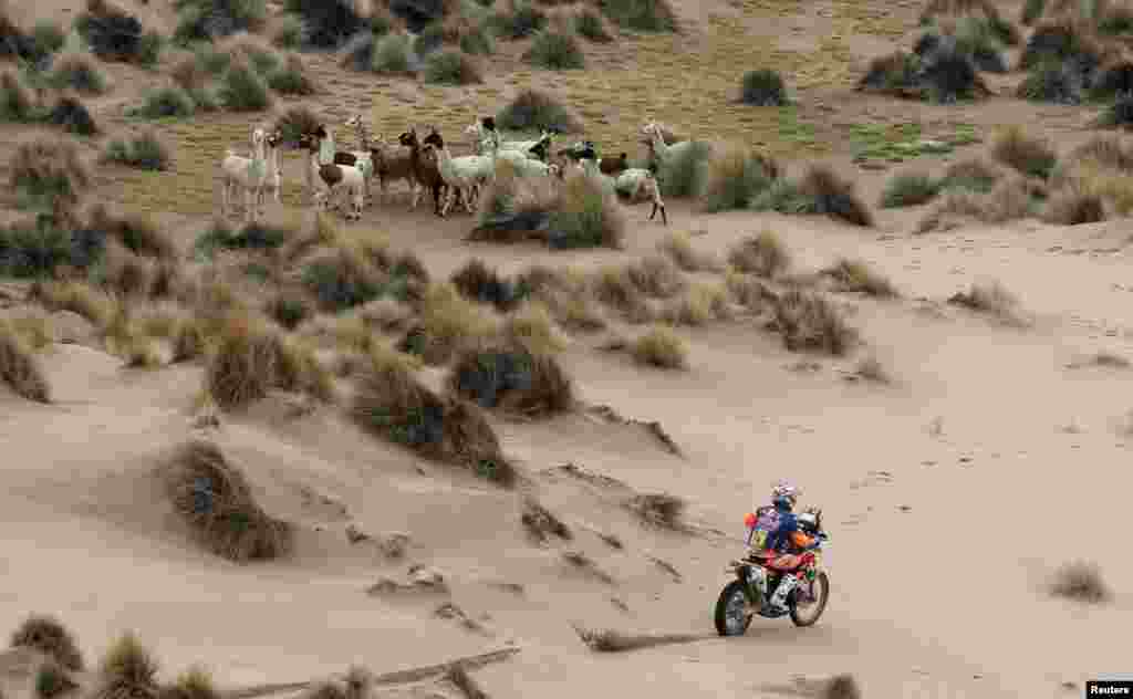 Britain&#39;s Sam Sunderland rides his KTM during the Stage 7 of the Dakar 2017 between La Paz and Uyuni, Bolivia, Jan. 9, 2017.