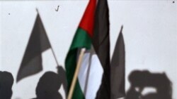 فعالان طرفدار فلسطینیان وارد غزه شدند