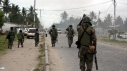 Une centaine d'islamistes tués au Mozambique, selon les forces de sécurité